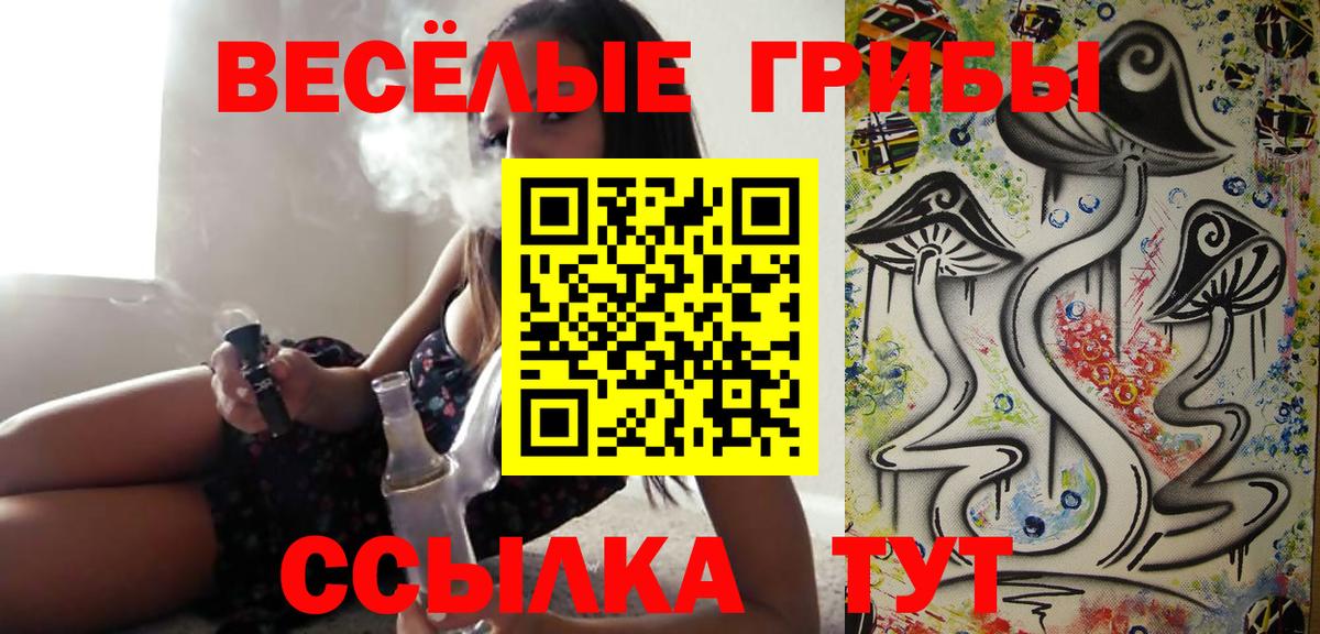 Галлюциногенные грибы GOLDEN TEACHER Моздок