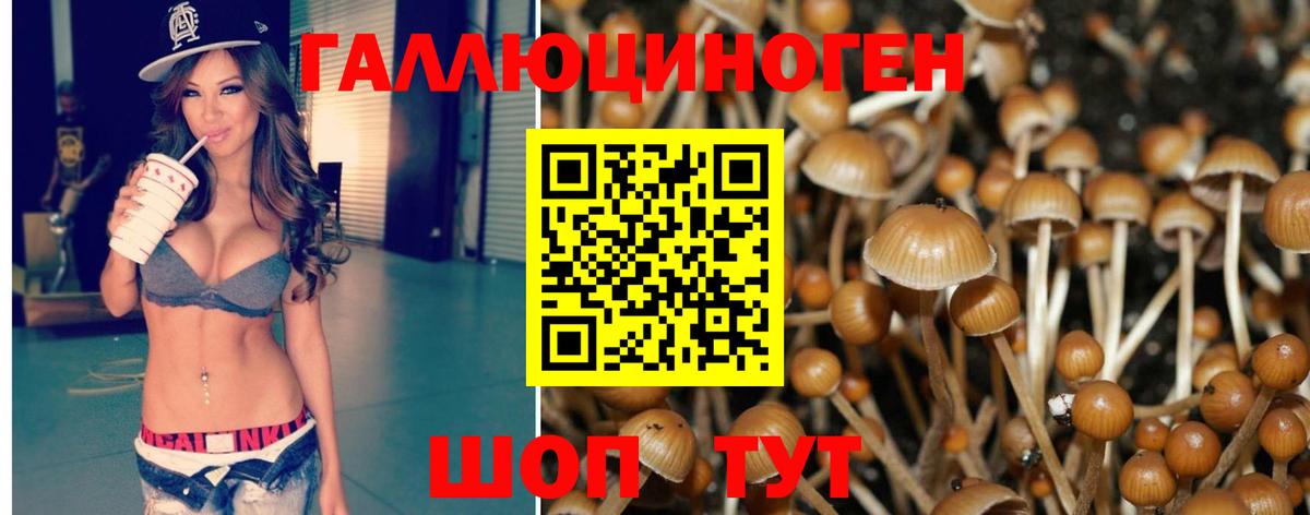 Моздок  Псилоцибиновые грибы ЛСД  Вход с VPN  Псилоцибиновые грибы мицелий 